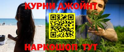 сатива Лесосибирск